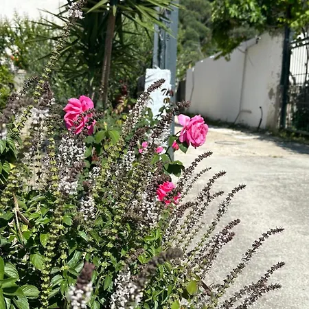 Tiny House شقة Polisi i Vogel