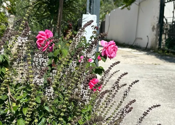 Tiny House شقة Polisi i Vogel